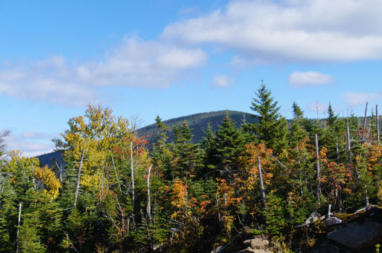 Hike Bushwhack to Scar Ridge West peak NH